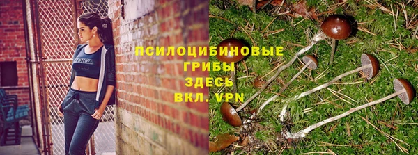 кокаин премиум Алексин