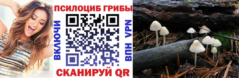 kraken сайт  Анапа  Псилоцибиновые грибы Cubensis 
